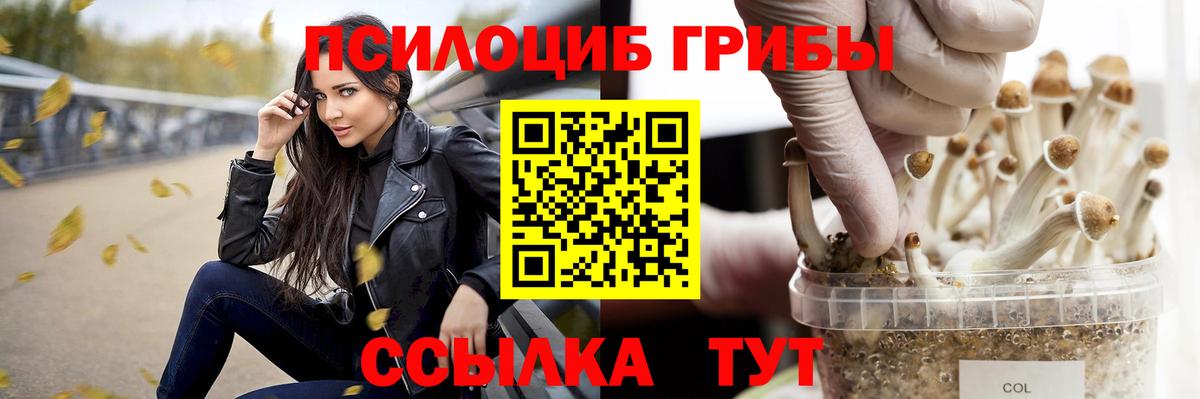 Галлюциногенные грибы Magic Shrooms  Вход с VPN  Набережные Челны 