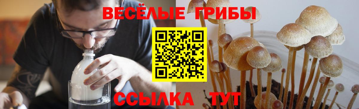 Псилоцибиновые грибы мухоморы Набережные Челны